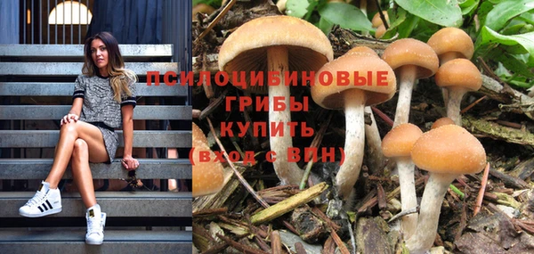тгк Алексин