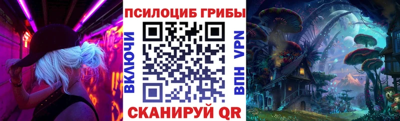 Псилоцибиновые грибы Psilocybe  Мичуринск 